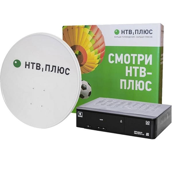 ntv11 ntv11